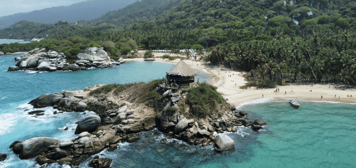 servicio chiva rumbera